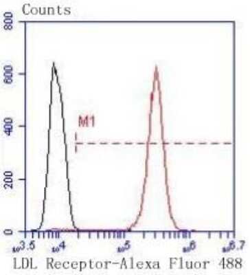 Flow Cytometry: LDLR Antibody (SJ0197) [NBP2-67414]