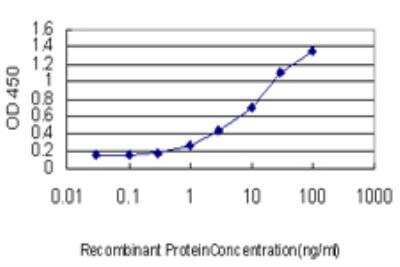 ELISA: LEF1 Antibody (5A3) [H00051176-M03]