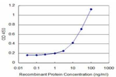 ELISA: LHX5 Antibody (2C6) [H00064211-M10]