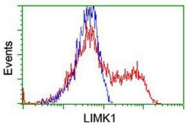 Flow Cytometry: LIM Kinase 1 Antibody (OTI3H6) [NBP2-00748]