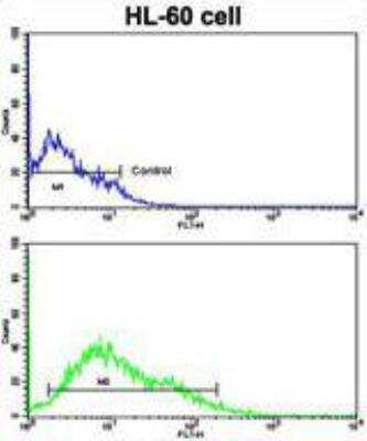 Flow Cytometry: LIN-28B Antibody [NBP1-50529]