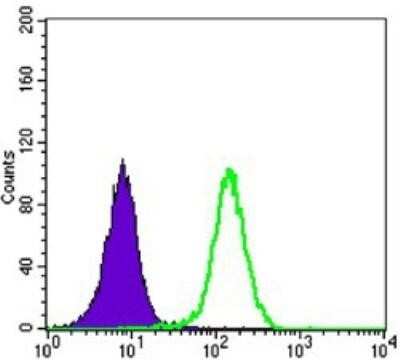 Flow Cytometry: LKB1/STK11 Antibody (4H12) - BSA Free [NBP1-51683]