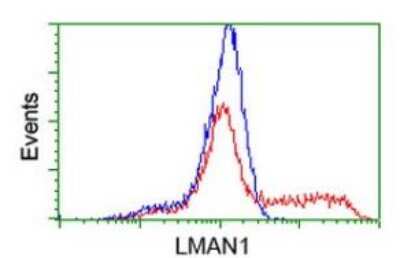 Flow Cytometry: LMAN1 Antibody (OTI1A8) [NBP2-03381]