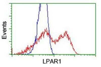 Flow Cytometry: LPAR1/LPA1/EDG-2 Antibody (OTI1G6) - Azide and BSA Free [NBP2-72519]