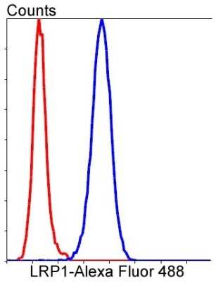 Flow Cytometry: LRP-1 Antibody (SA0290) [NBP2-67286]