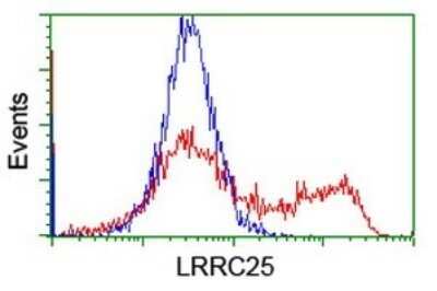 Flow Cytometry: LRRC25 Antibody (OTI1A2) - Azide and BSA Free [NBP2-72529]