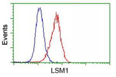 Flow Cytometry: LSM1 Antibody (OTI5C6) [NBP2-00918]