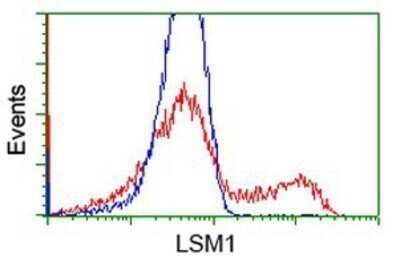 Flow Cytometry: LSM1 Antibody (OTI5C6) - Azide and BSA Free [NBP2-72547]