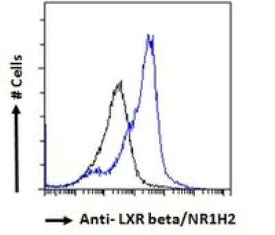Flow Cytometry: LXR beta/NR1H2 Antibody [NB100-1464]