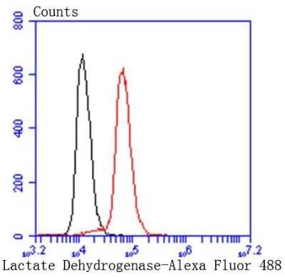 Flow Cytometry: Lactate Dehydrogenase A/LDHA Antibody (SU39-06) [NBP2-67483]