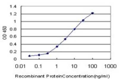 ELISA: Laminin alpha 5 Antibody (2F7) [H00003911-M01]