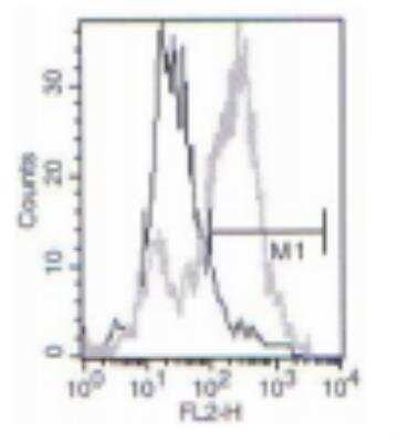 Flow Cytometry: Langerin/CD207 Antibody (808E10.01) [DDX0360P-100]