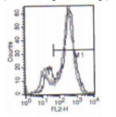 Flow Cytometry: Langerin/CD207 Antibody (808E10.01) [DDX0360P-100]