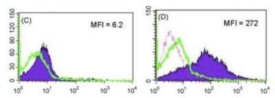 Flow Cytometry: Langerin/CD207 Antibody (929F3.01) [DDX0362P-100]