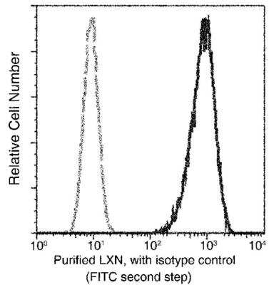 Flow Cytometry: Latexin Antibody (101) [NBP2-89341]