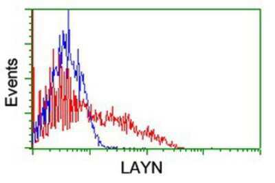 Flow Cytometry: Layilin Antibody (OTI4C11) [NBP2-01879]