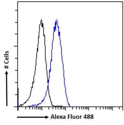 Flow Cytometry: Leptin R Antibody [NB100-40796]