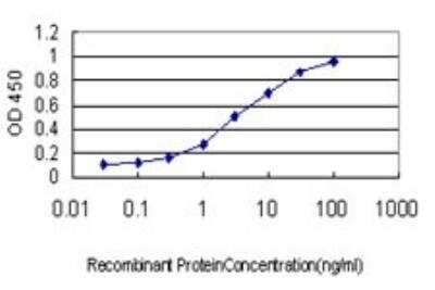 ELISA: Lgl1 Antibody (5G2) [H00003996-M01]