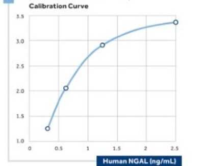 ELISA: Lipocalin-2/NGAL Antibody (14) - BSA Free [NBP2-41365]