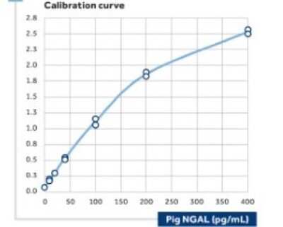 ELISA: Lipocalin-2/NGAL Antibody (28) - BSA Free [NBP1-30006]