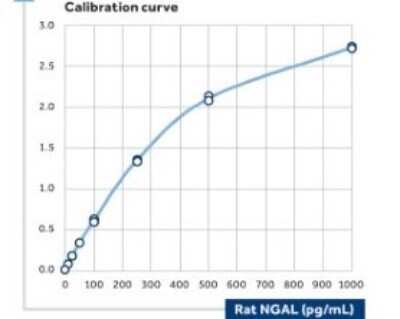 ELISA: Lipocalin-2/NGAL Antibody (32) - BSA Free [NBP1-05182]