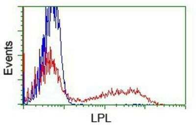 Flow Cytometry: Lipoprotein Lipase/LPL Antibody (OTI3A10) - Azide and BSA Free [NBP2-71178]