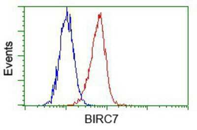 Flow Cytometry: Livin Antibody (OTI1D12) [NBP2-02177]
