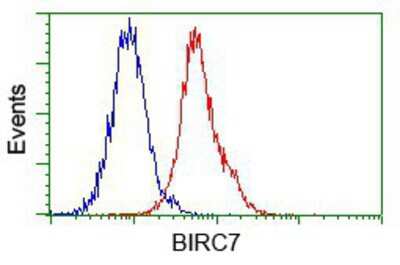 Flow Cytometry: Livin Antibody (OTI1D12) [NBP2-02177]