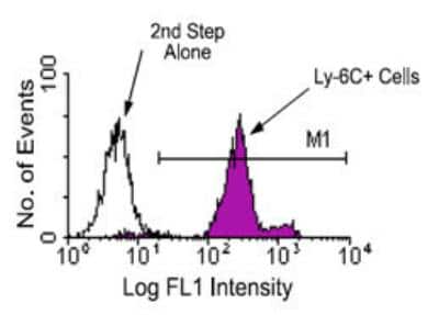 Flow Cytometry: Ly-6C Antibody (HK1.4) - Azide and BSA Free [NBP1-28046]