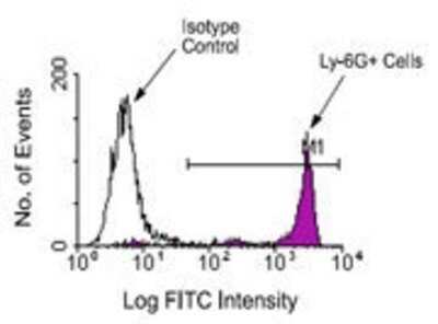 Flow Cytometry: Ly-6G/Ly-6C Antibody (RB6-8C5) - Azide and BSA Free [NBP2-80838]