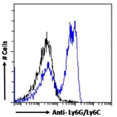 Flow Cytometry: Ly-6G/Ly-6C Antibody (RB6-8C5) - Chimeric - Azide and BSA Free [NBP3-11978]