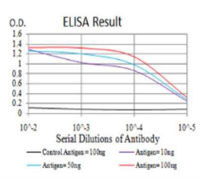ELISA: Lysine (K)-specific Demethylase 4A/KDM4A/JMJD2A Antibody (6E10G4) - BSA Free [NBP2-52499]
