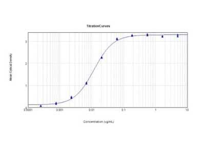 ELISA: Lysozyme Antibody [NBP1-77790]