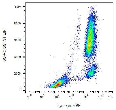 Flow (Intracellular): Lysozyme Antibody (LZ598-10G9) [NBP2-62223]