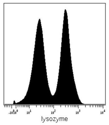 Flow (Intracellular): Lysozyme Antibody (LZ598-10G9) [NBP2-62223]
