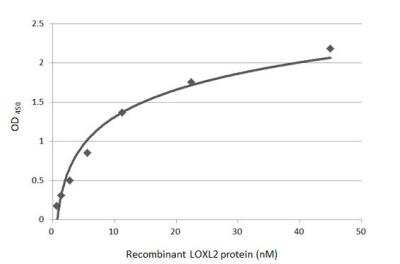 ELISA: Lysyl Oxidase Homolog 2/LOXL2 Antibody [NBP1-32954]