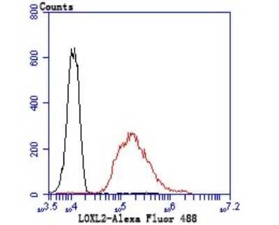 Flow Cytometry: Lysyl Oxidase Homolog 2/LOXL2 Antibody (JU32-53) [NBP2-75559]