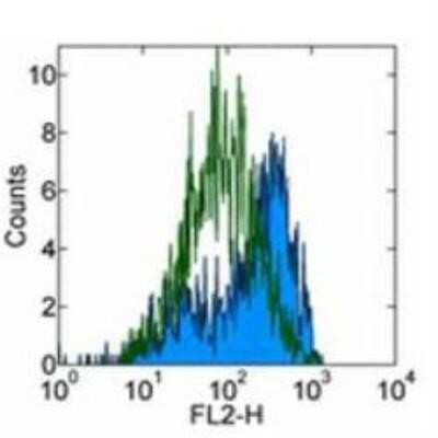 Flow Cytometry: M-CSFR/CD115 Antibody (AFS98) - BSA Free [NBP1-43363]