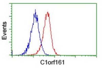 Flow Cytometry: MAB21L3 Antibody (OTI2A3) [NBP2-46598]