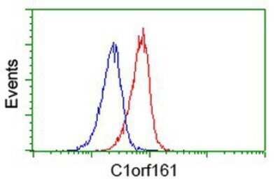 Flow Cytometry: MAB21L3 Antibody (OTI1F6) - Azide and BSA Free [NBP2-72563]