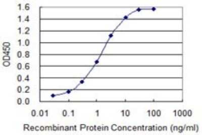ELISA: MAGEA12 Antibody (3A10) [H00004111-M01]