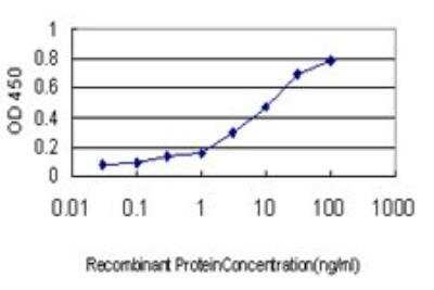 ELISA: MAGEA8 Antibody (3F7) [H00004107-M01]
