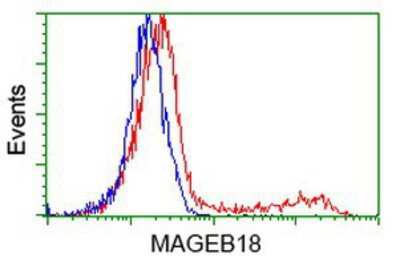 Flow Cytometry: MAGEB18 Antibody (OTI1F5) [NBP2-03679]