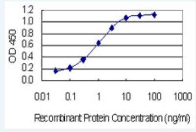ELISA: MAP4K1 Antibody (1G6) [H00011184-M02-100ug]