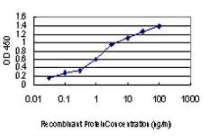 ELISA: MAP4K5 Antibody (3H3) [H00011183-M01]