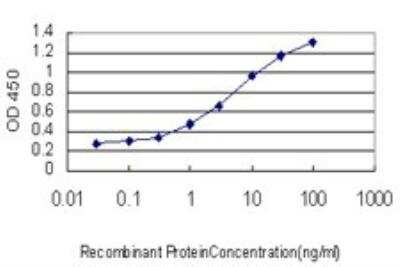 ELISA: MAPKAPK2 Antibody (2B3) [H00009261-M01]