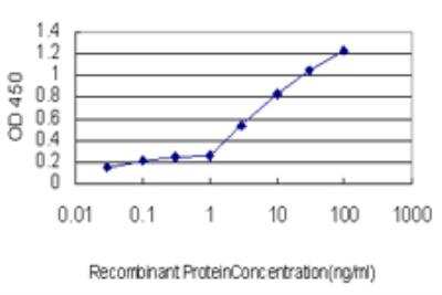 ELISA: MAZ Antibody (6G2) [H00004150-M05]