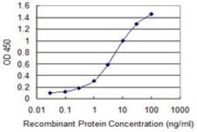 ELISA: MBTPS1 Antibody (2E6) [H00008720-M07]