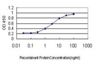 ELISA: MCM7 Antibody (6C2) [H00004176-M01]