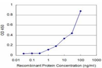 ELISA: MED16 Antibody (3B10) [H00010025-M03]